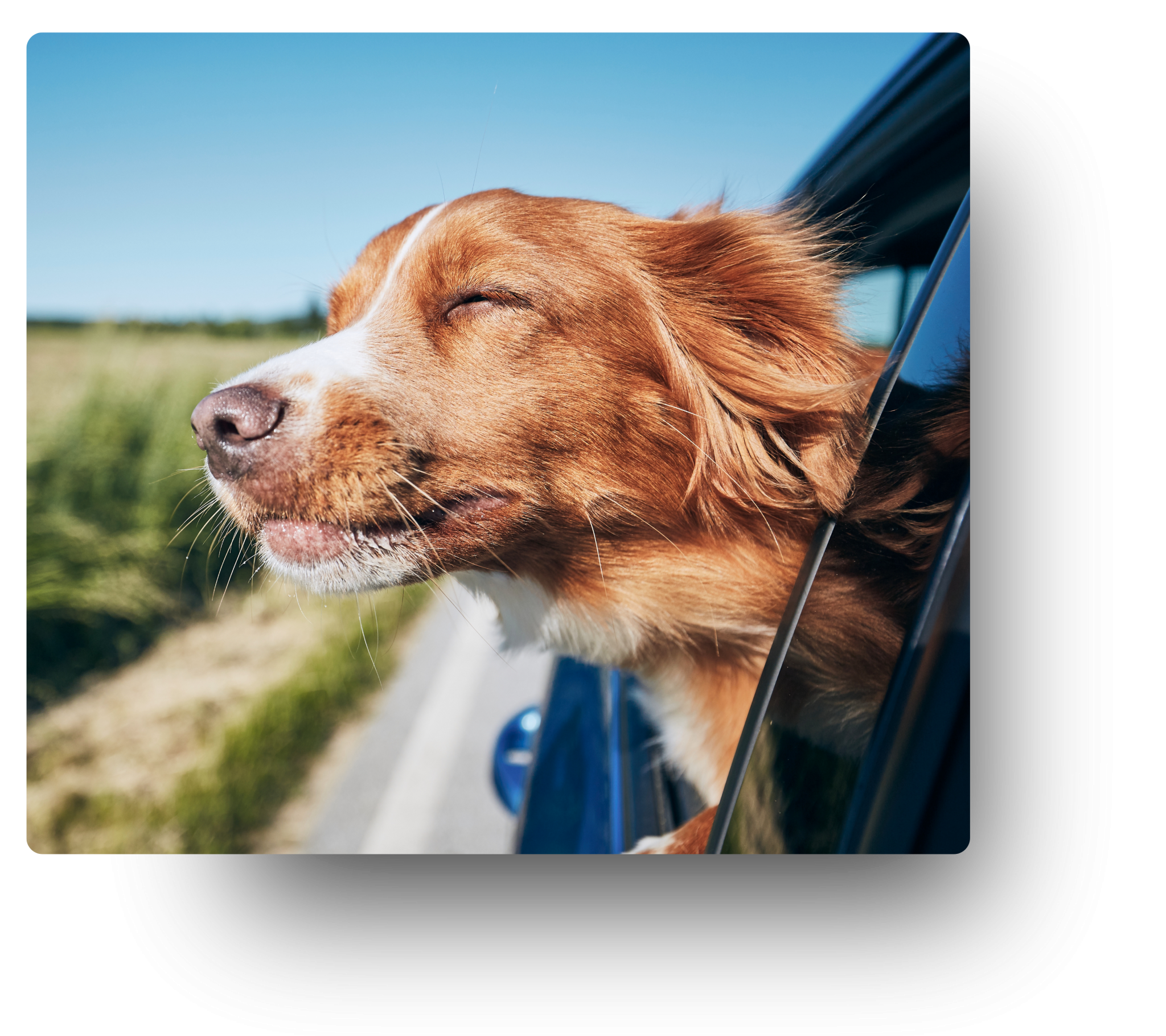 Auto Loans - Priority First Federal Credit Union